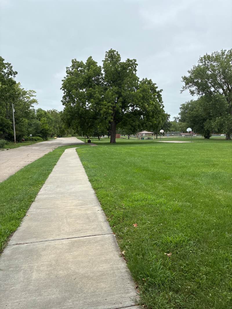 walking near me in Junge Park in autumn