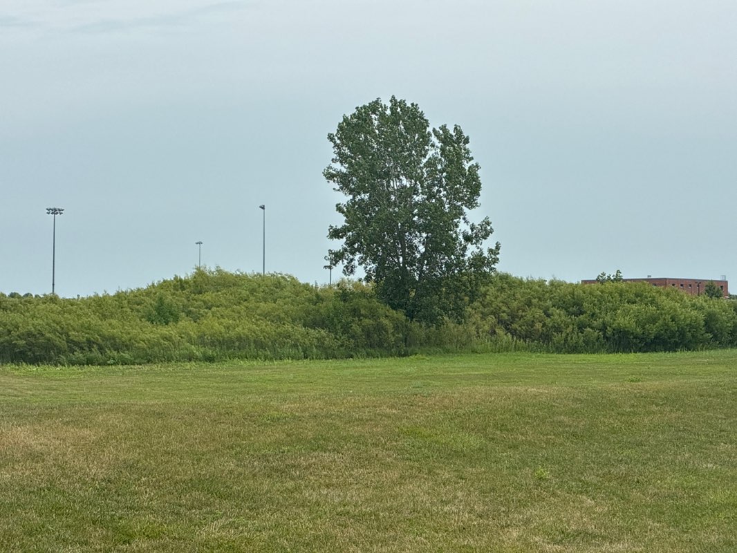 walking near me in Prairie Point Community Park in summer