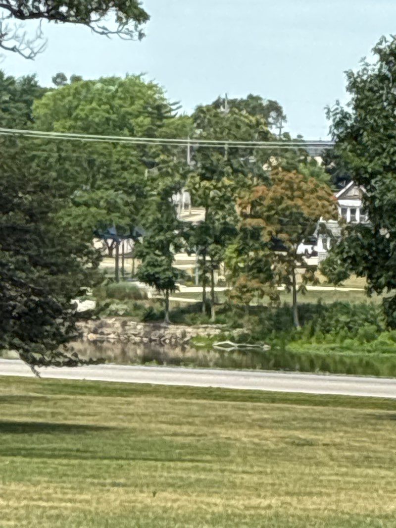 walking near me in Austin Memorial Park in summer