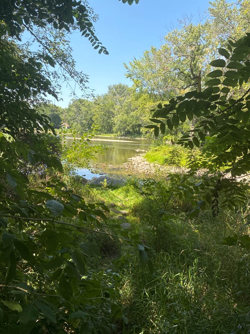 walking near me in Troy Park in autumn