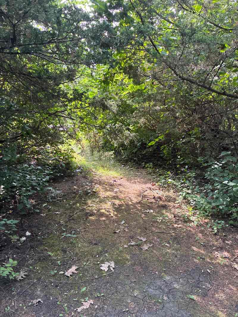 walking near me in Jaycee Park in autumn