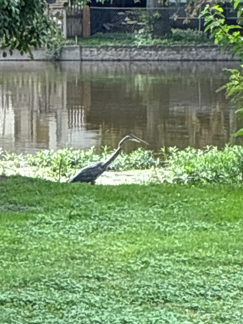 walking near me in South Island Park in autumn