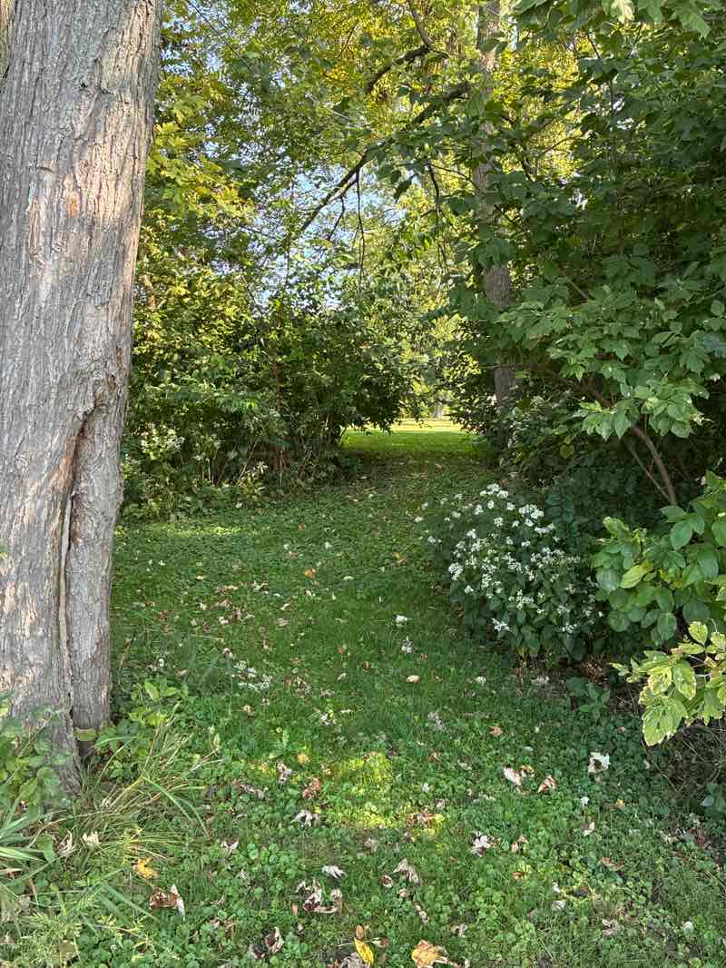 walking near me in North Adams Park in autumn