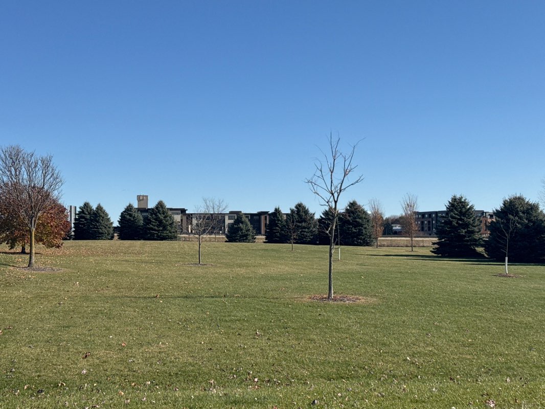 walking near me in Murphy Park in autumn