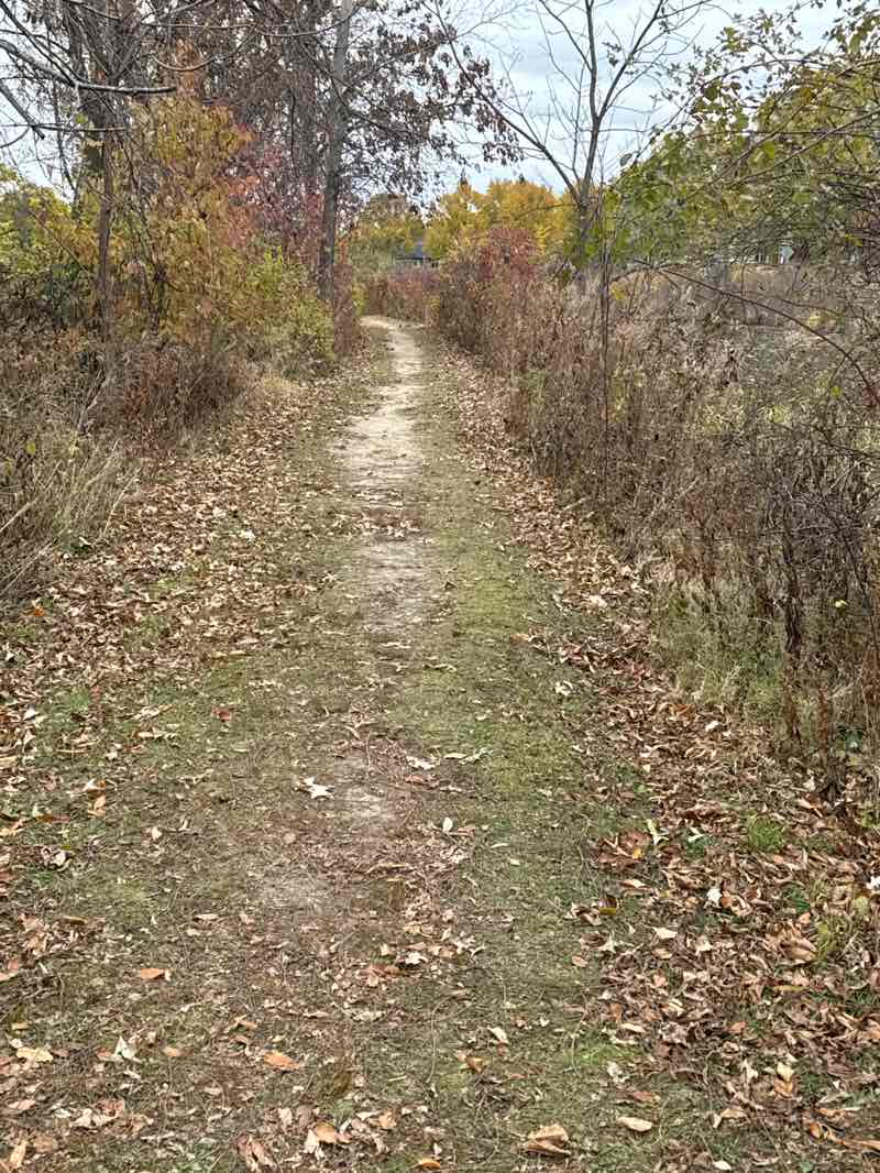 walking near me in Middleton Hills South Park in autumn