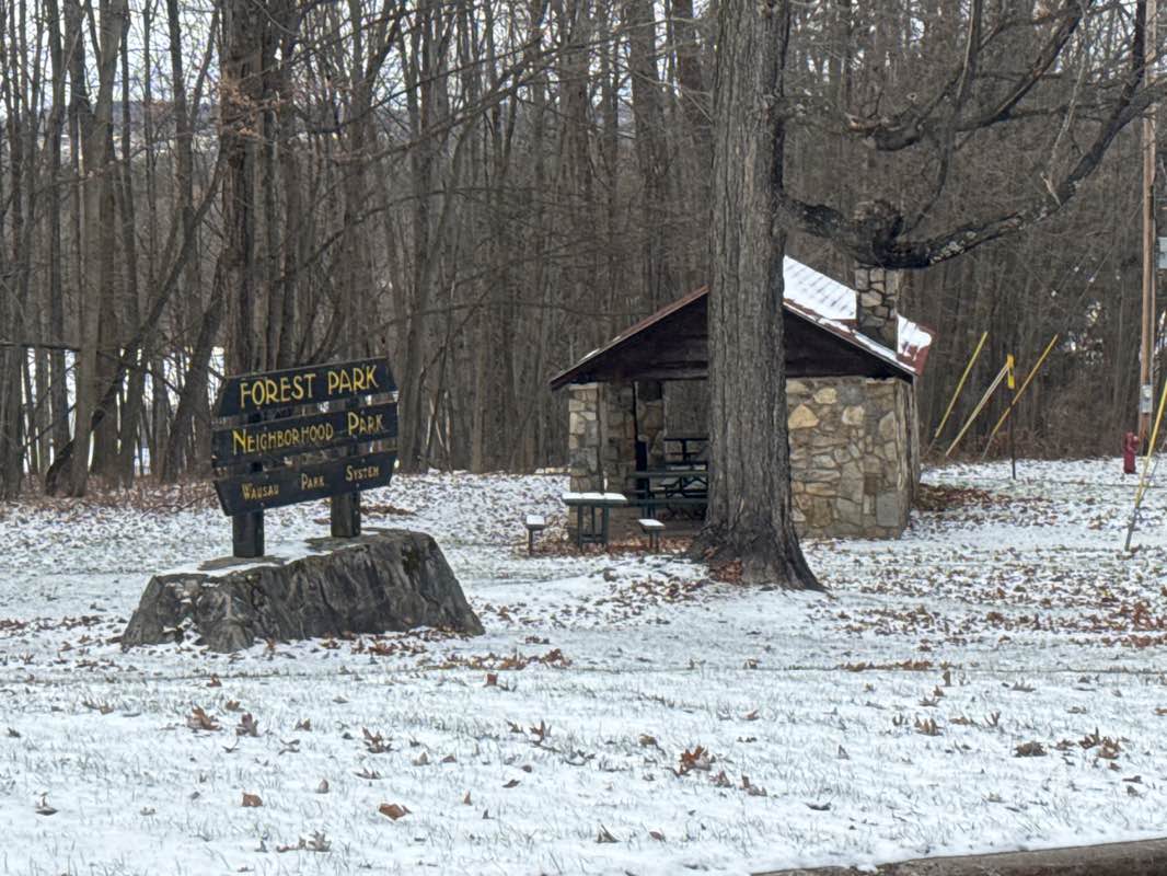 walking near me in Forest Park in autumn
