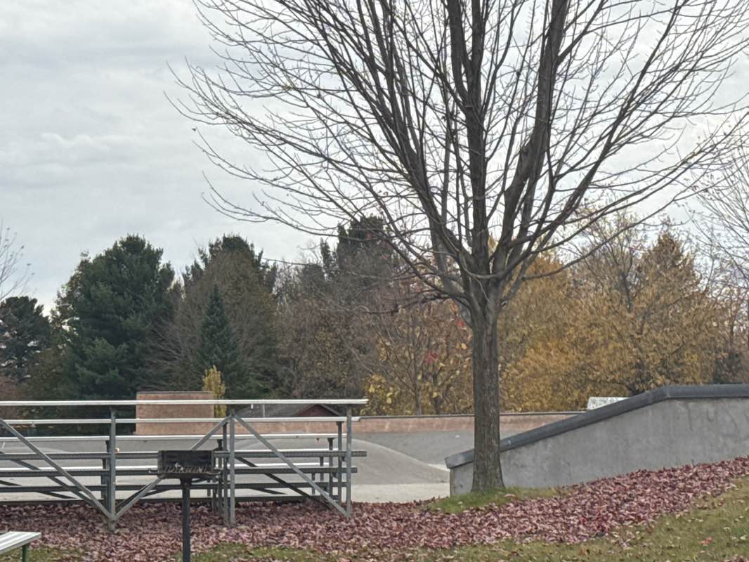 walking near me in Bukolt Park in autumn