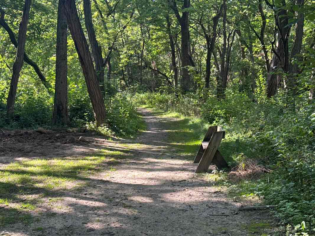 walking near me in Quarry Park in autumn