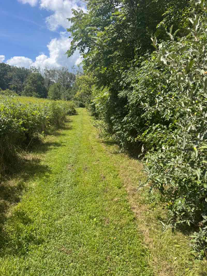 walking near me in W.R. Wadewitz Nature Camp in autumn