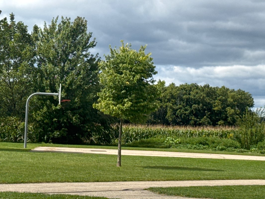 walking near me in Sauk Heights Park in autumn