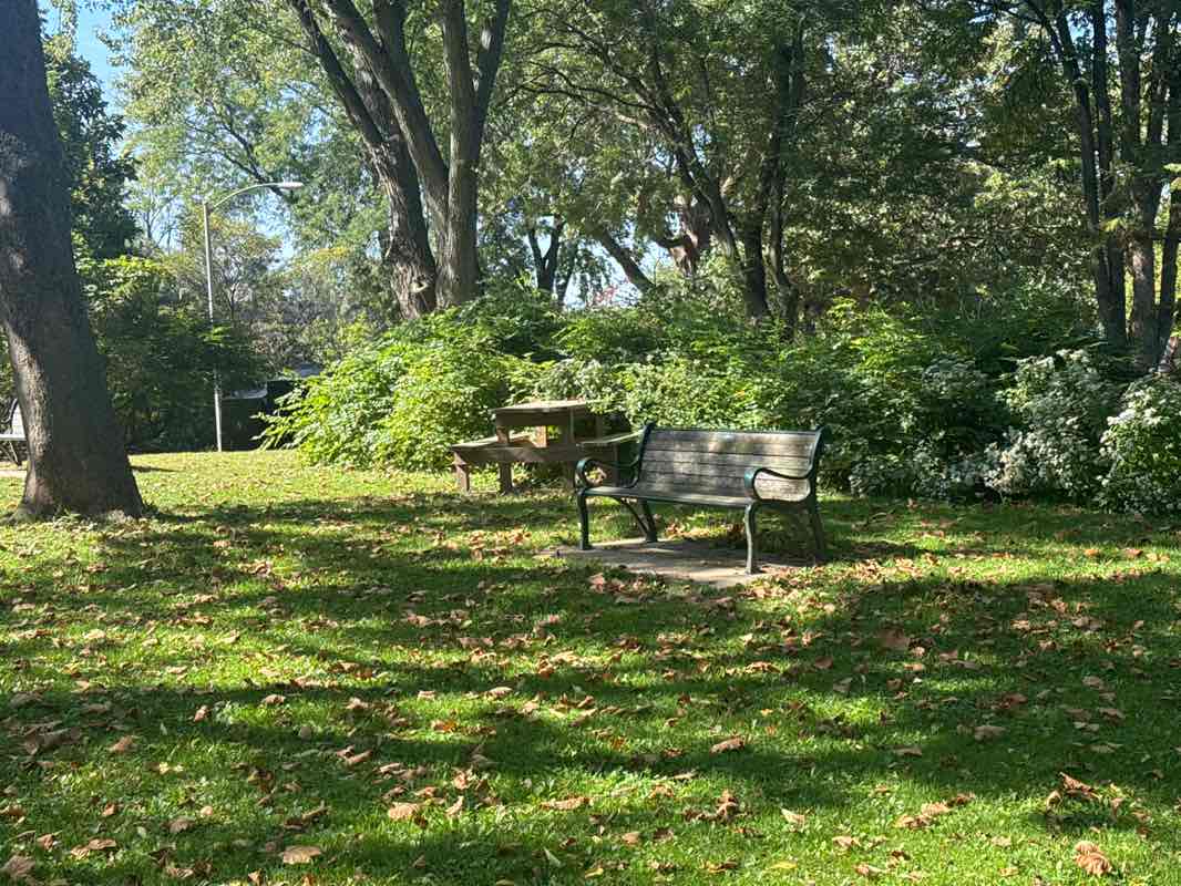 walking near me in Post Farm Park in autumn