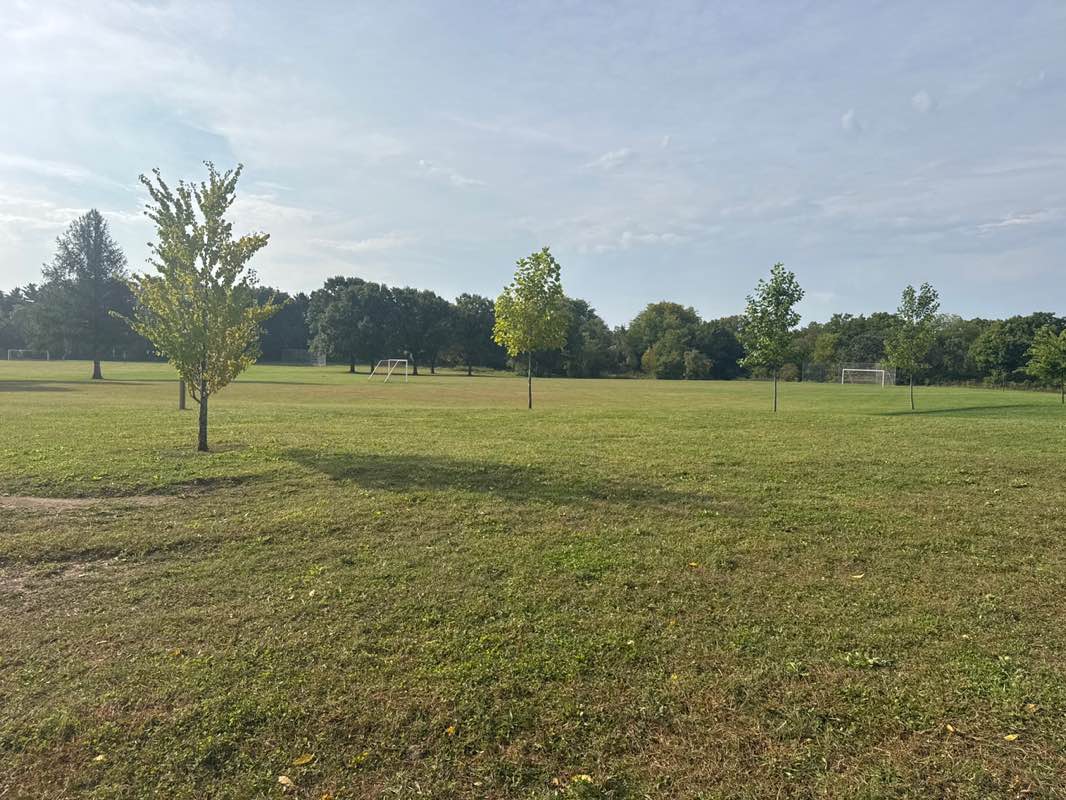 walking near me in Walnut Grove Park in autumn