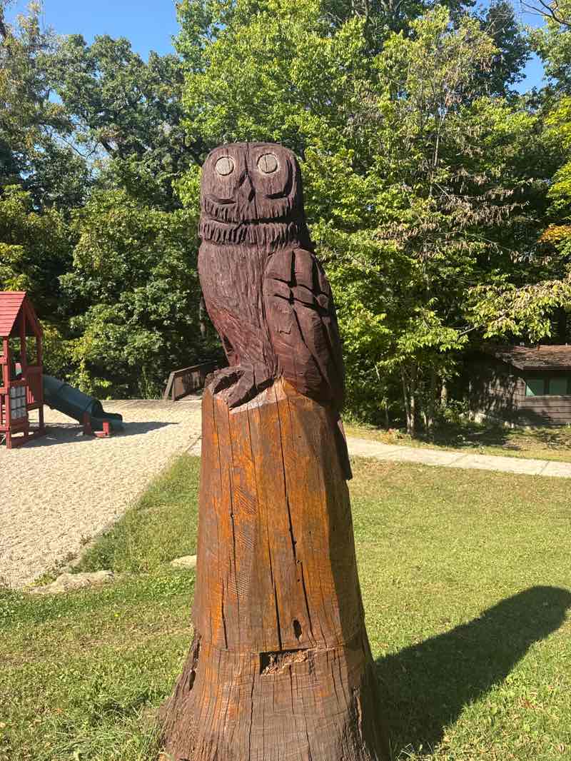 walking near me in New Glarus Woods State Park in autumn