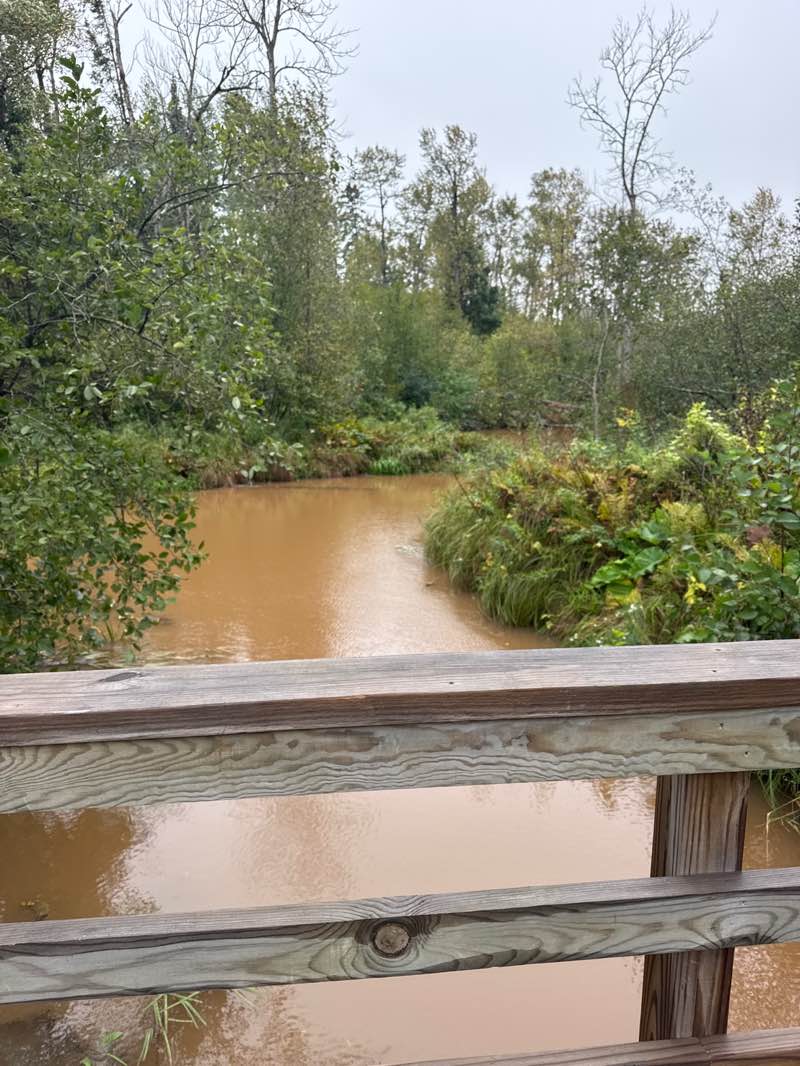 walking near me in Bear Creek Park in autumn