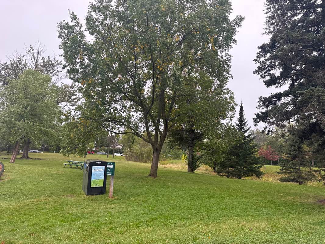 walking near me in Washington Square Park in autumn