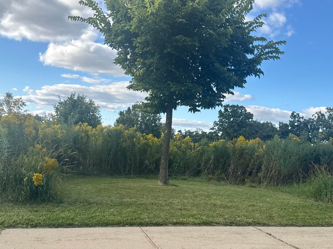 walking near me in Hill Creek Park in autumn
