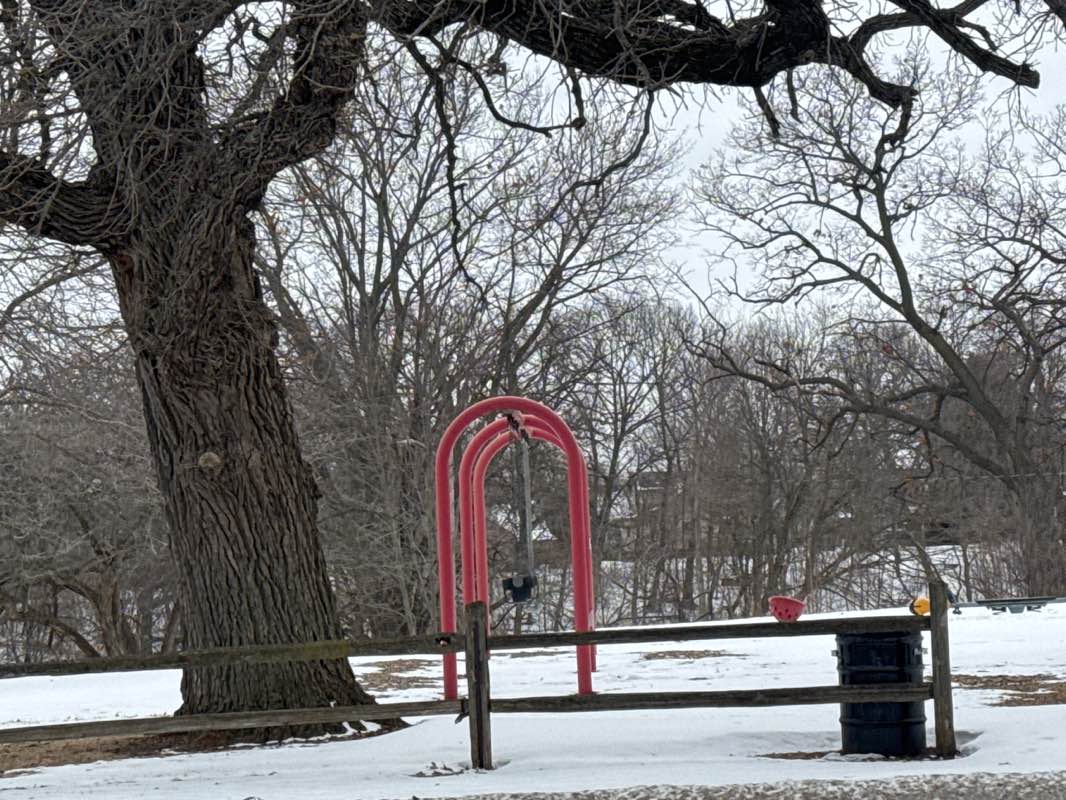 walking near me in Washington Park in winter