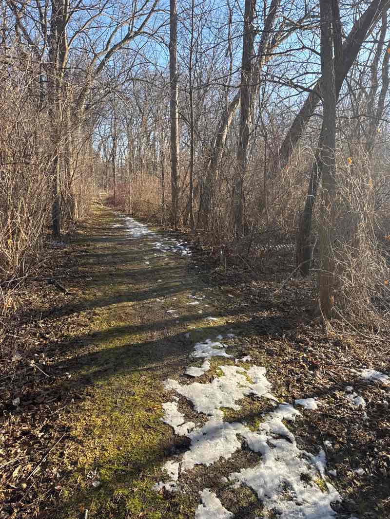 walking near me in Indian Mound Conservation Park in winter