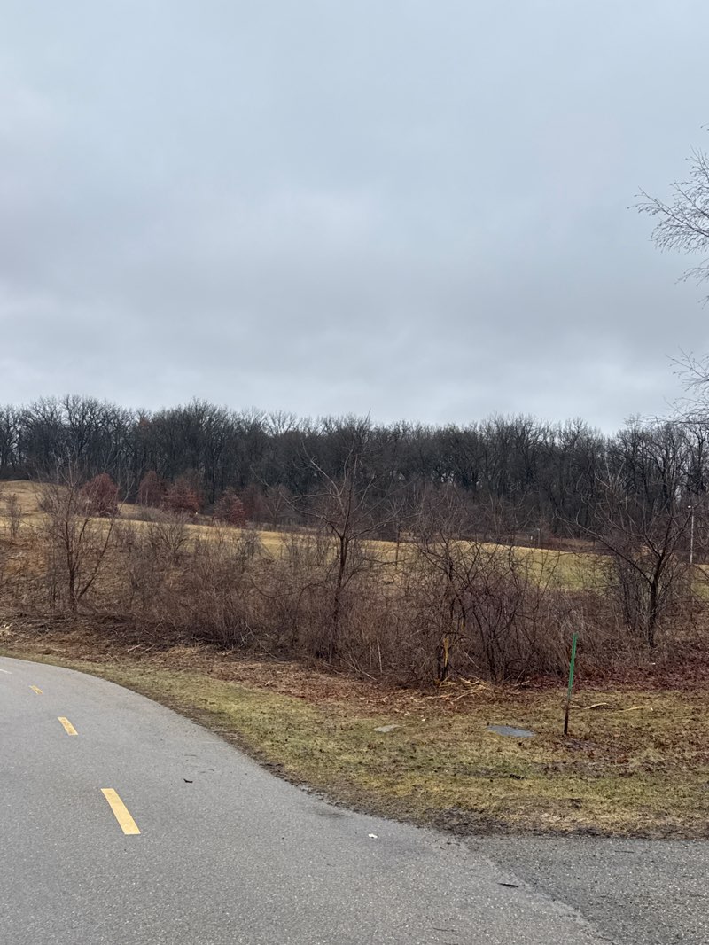 walking near me in Gunflint Trail Park in spring