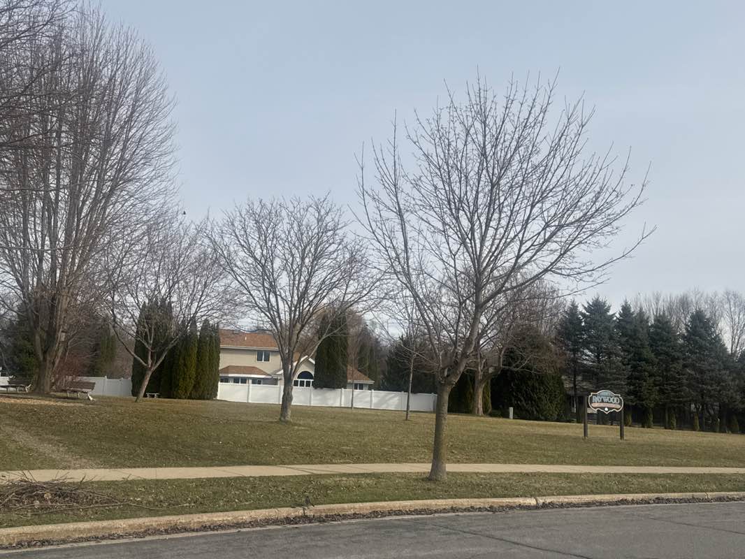 walking near me in Raywood Park in spring
