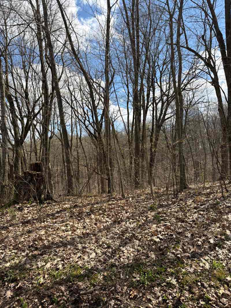walking near me in Blue Mound State Park in spring