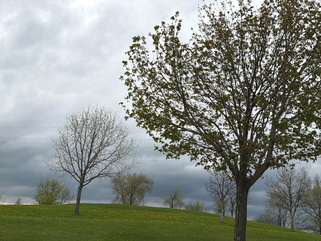 walking near me in Middleton Hills North Park in spring