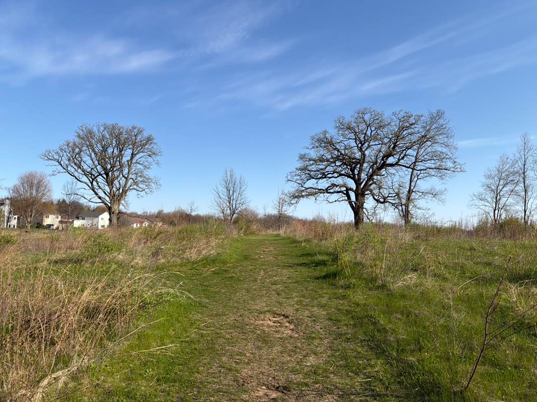 walking near me in Quarry Hill Park in spring
