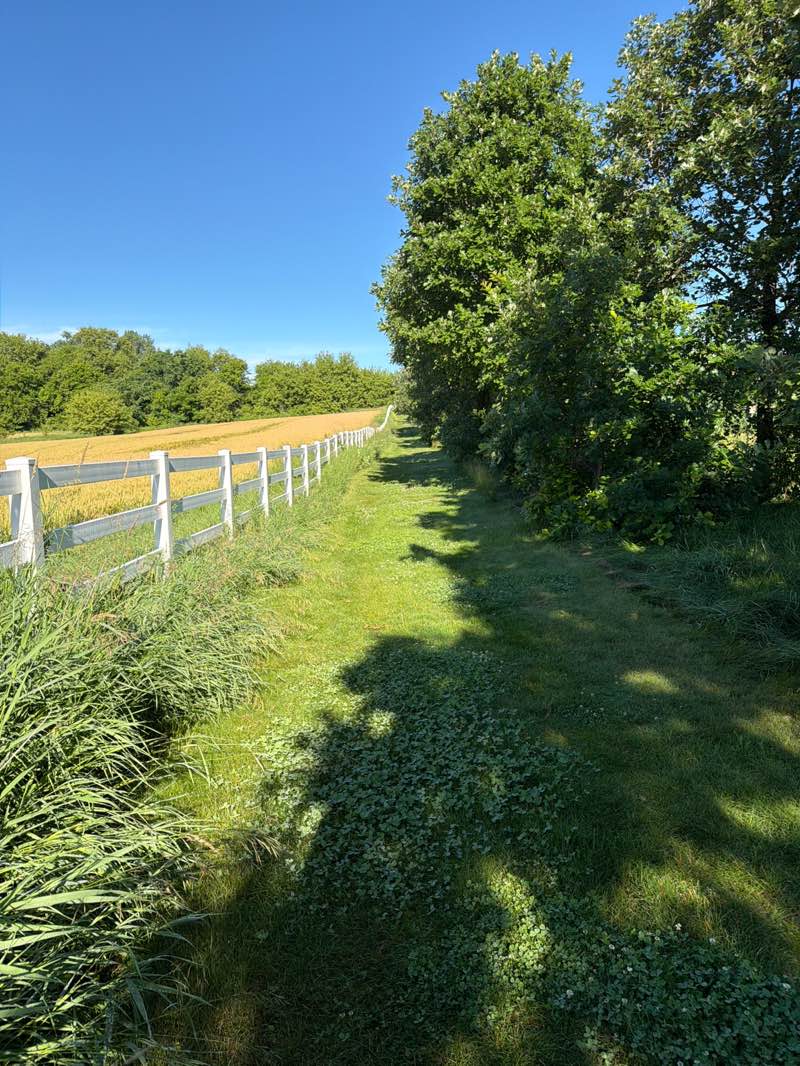 walking near me in Pope Farm Conservancy in summer