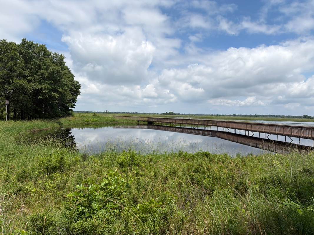 walking near me in Necedah National Wildlife Refuge in summer