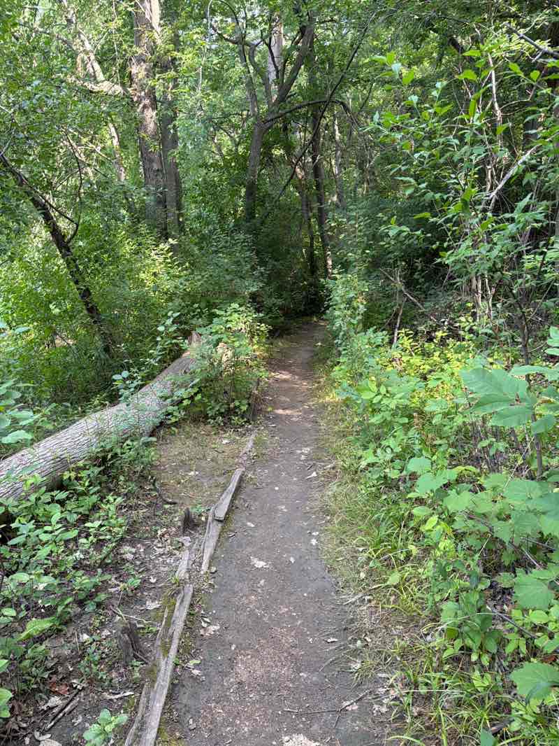 walking near me in Estabrook Park in summer