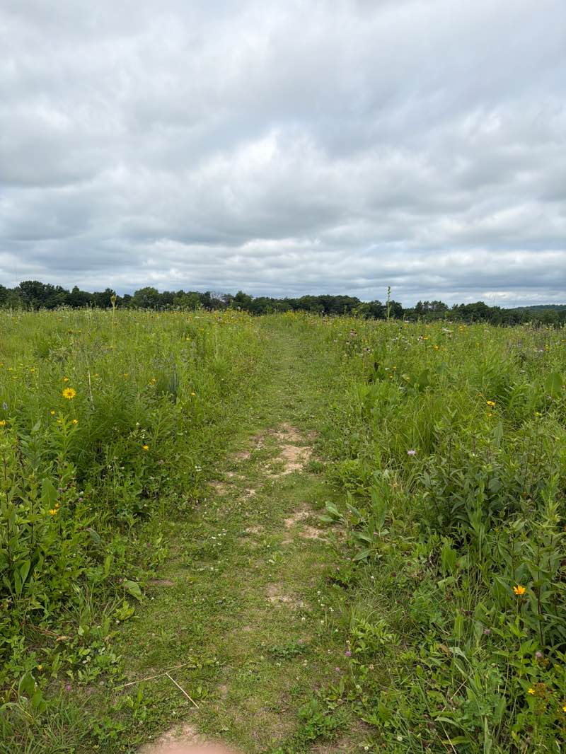 walking near me in S.B. Andersen Memorial Preserve in summer