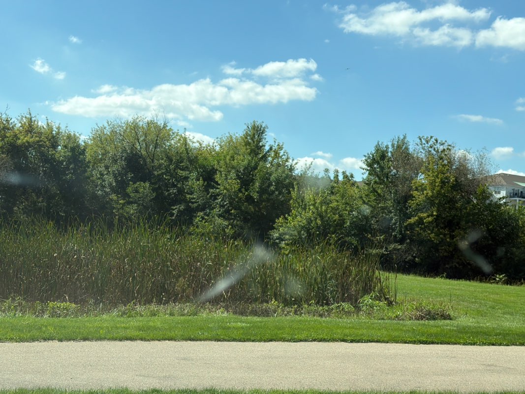 walking near me in McWatty Park in autumn