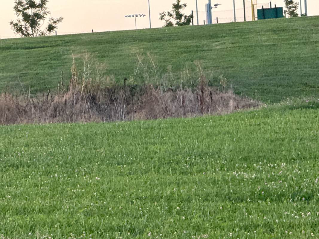walking near me in Centerton Sportsplex in summer