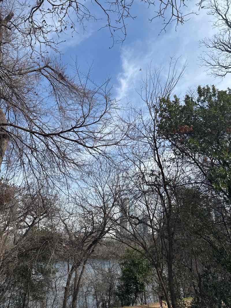 walking near me in Butler Shores At Town Lake in winter