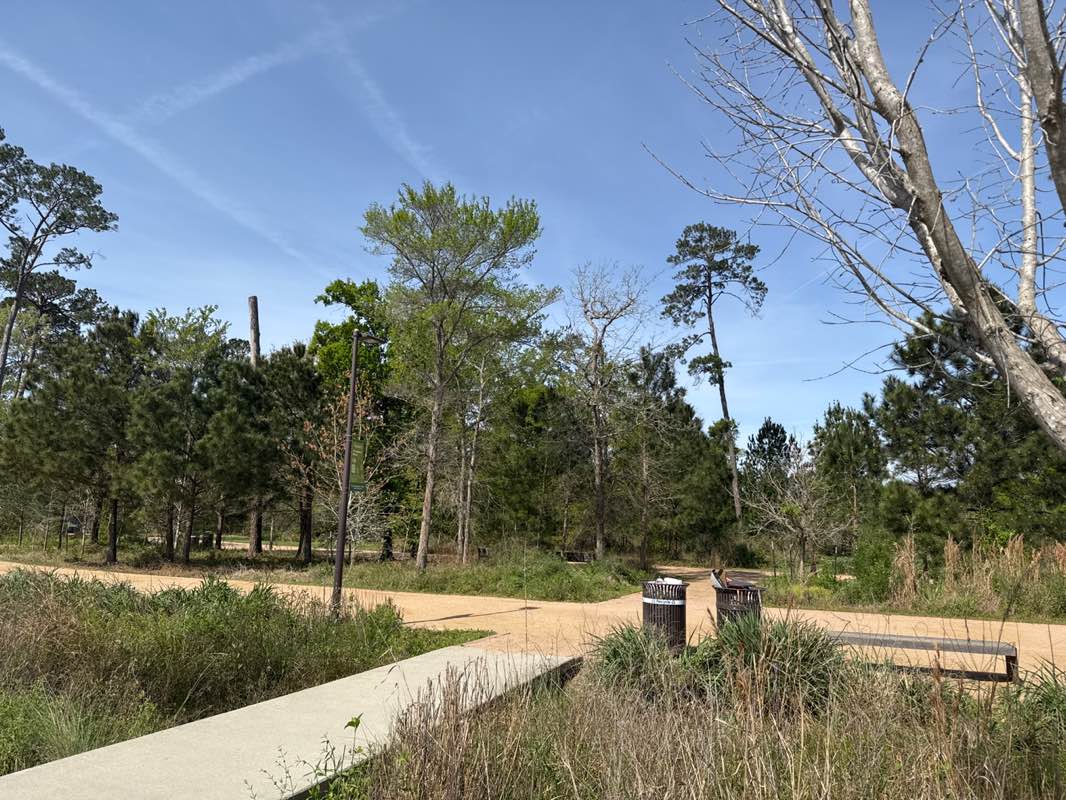 walking near me in Memorial Park in spring