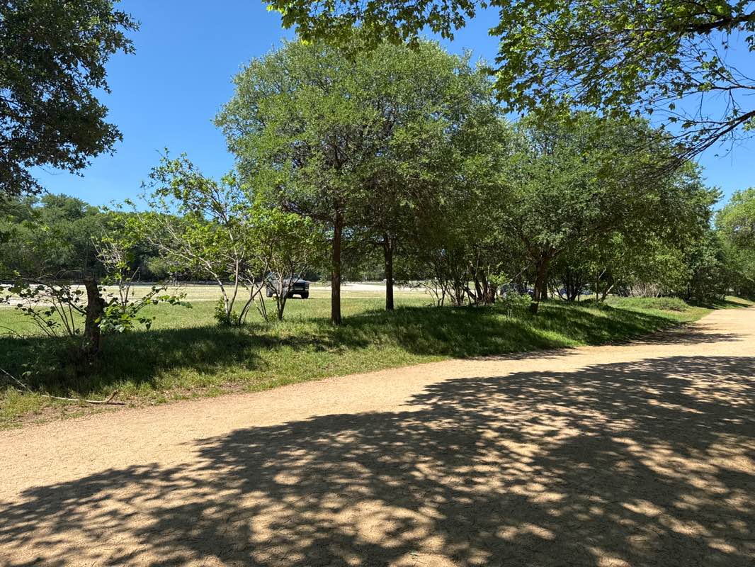 walking near me in Zilker Metropolitan Park in spring