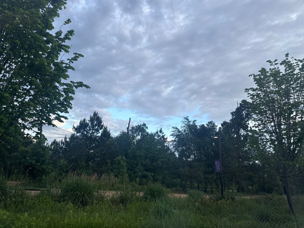 walking near me in Memorial Park in spring