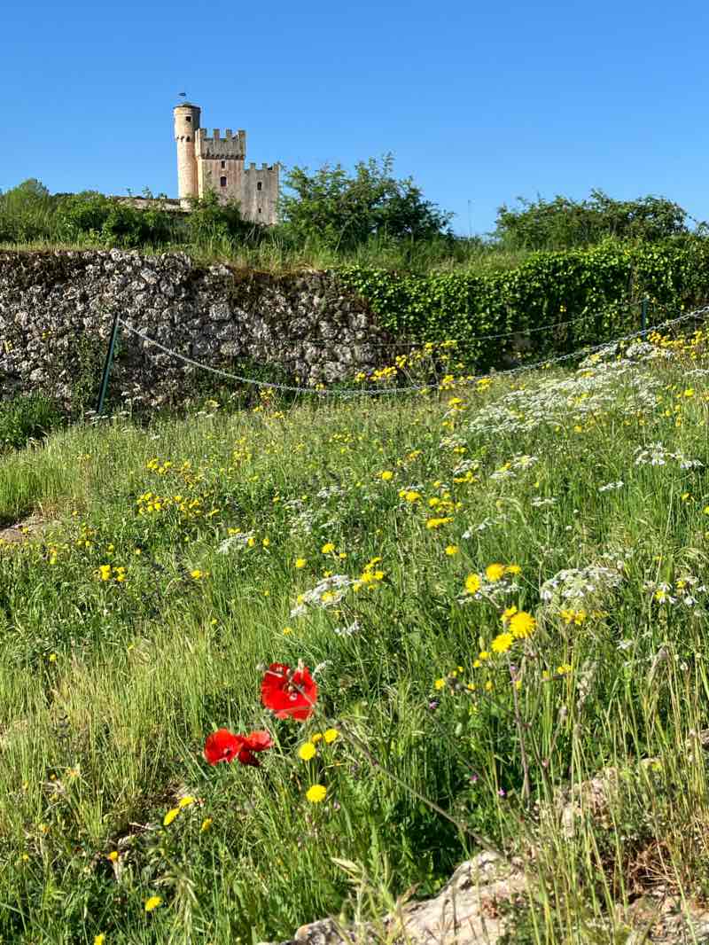 walking near me in Parco ai ragazzi di Sarajevo in winter