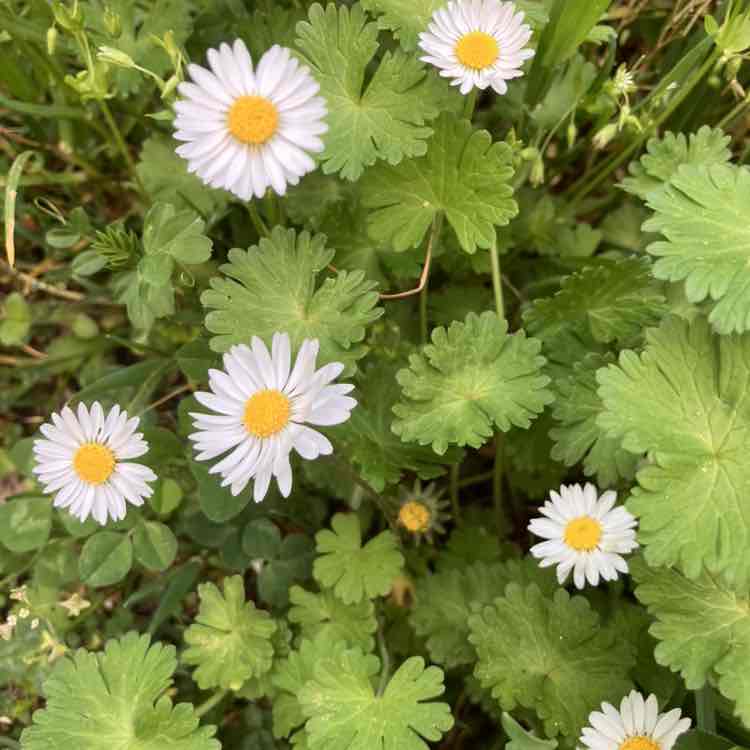 Marina😃🧡 post 1