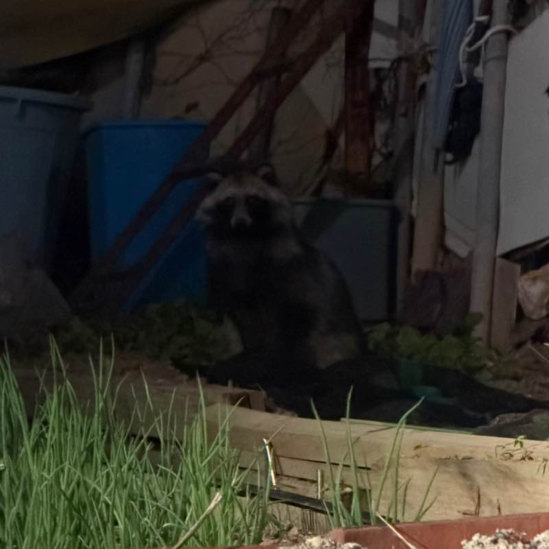 Alice.Yoon-KR.Sales post 1