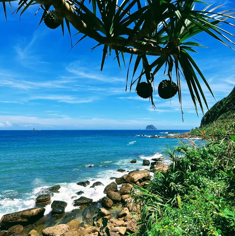 Phoebe.Teng-TW-Supply Chain