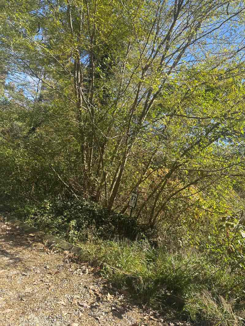 walking near me in UNCA Kellogg Center in autumn