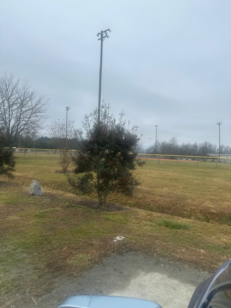 walking near me in City of Brevard Sports Complex in winter