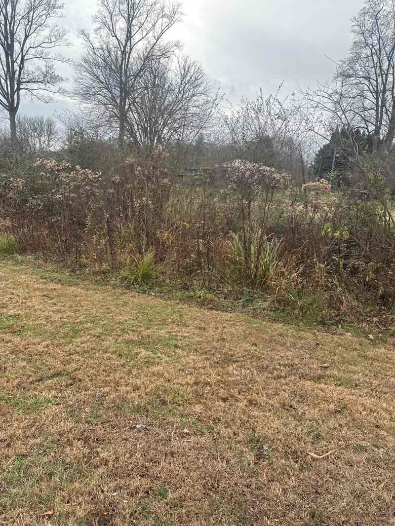 walking near me in City of Brevard Sports Complex in winter
