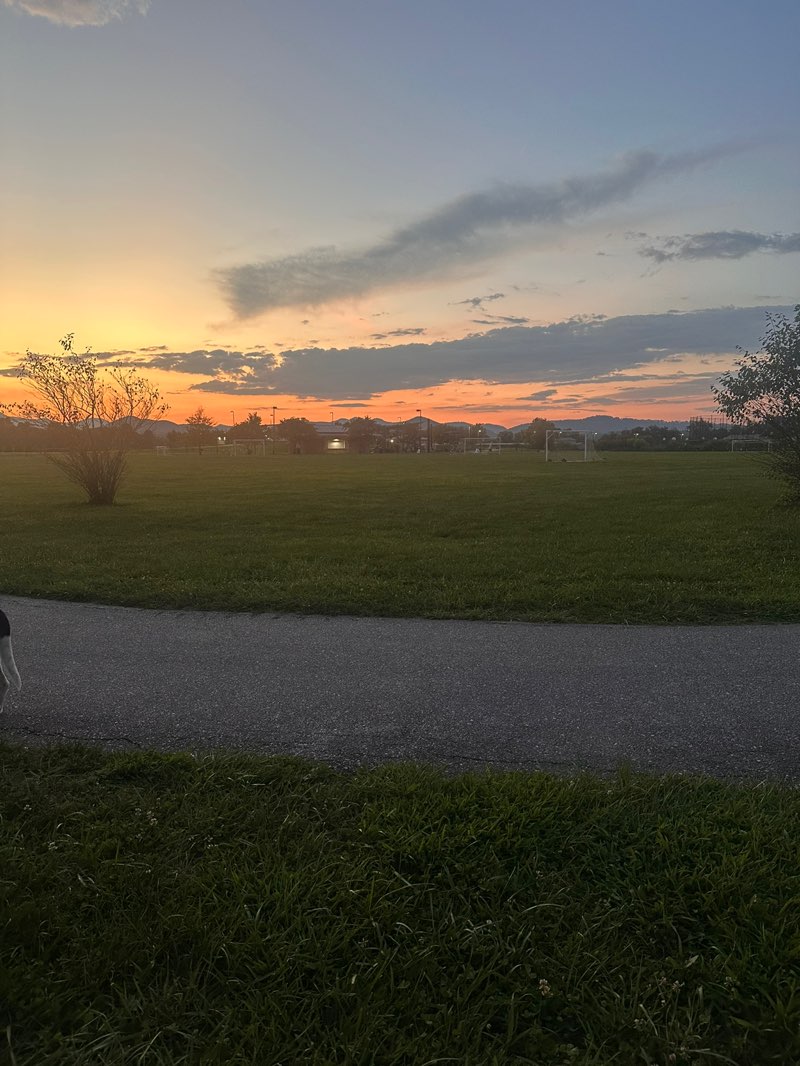 walking near me in Mills River Park in autumn