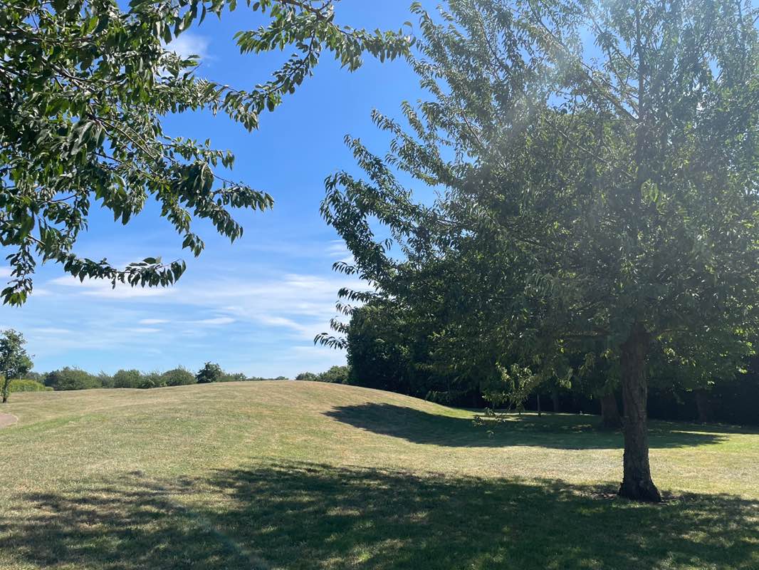 walking near me in Oldchurch Park in summer