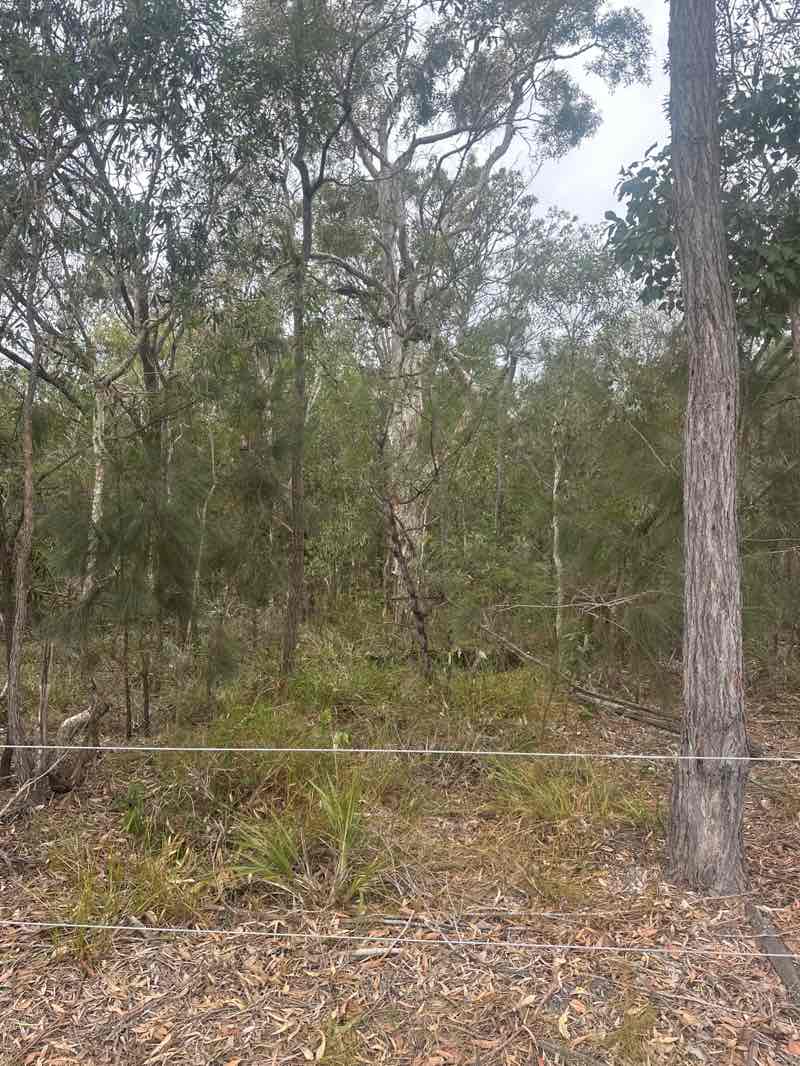 walking near me in Duggan Conservation Park in spring