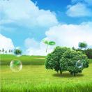 二月春风 profile