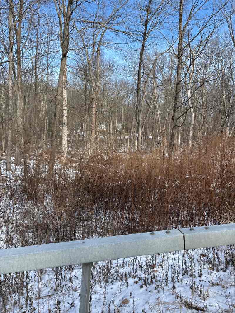 walking near me in East Fishkill Unit in winter