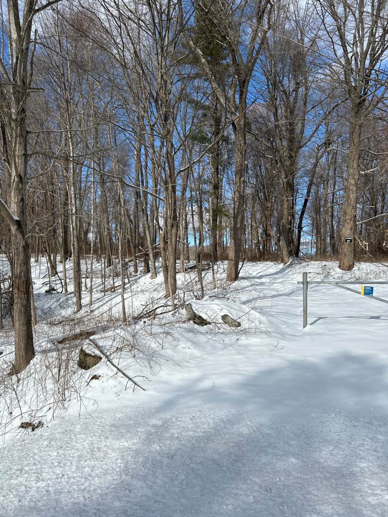 walking near me in Alamar Unit in winter